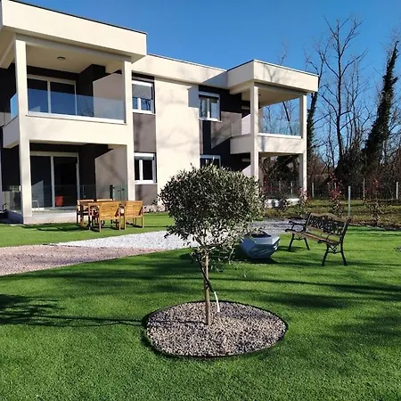 Oliva Nedeščina