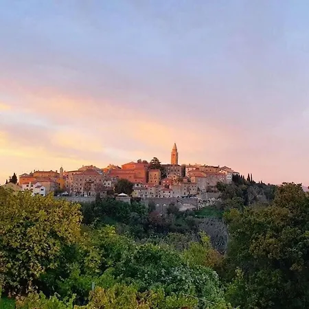 Prázdninový dům Oliva *