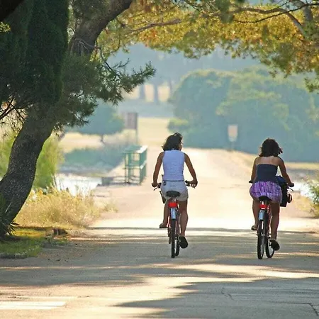 Oliva Prázdninový dům