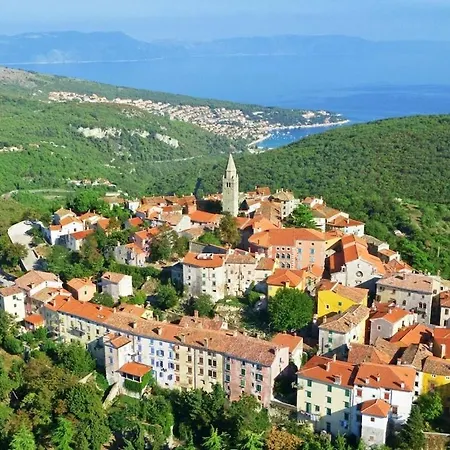 Oliva