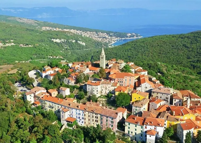 Oliva